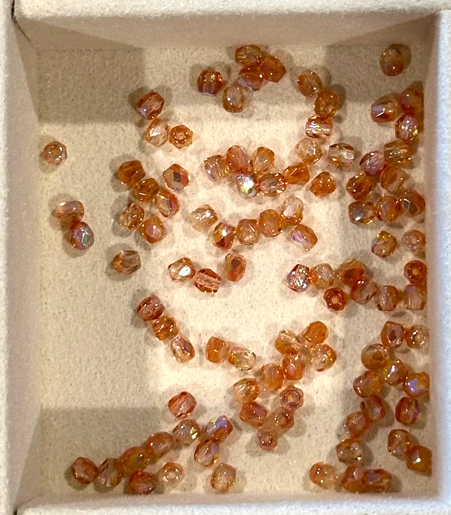 Coral Reef